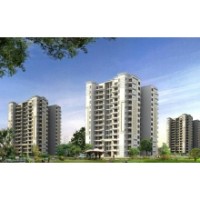 4 BHK Tulip Purple Apartments for Sale in Gurgaon