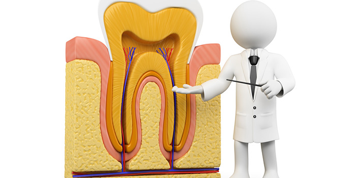 Achieve the Smile of Your Dream with the Best Dentists in South Delhi