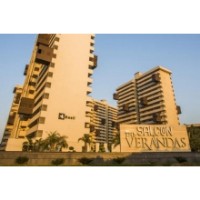 Apartments Available For Rent in Salcon - The Verandas in Sector 54  Golf Course Road   Gurgaon