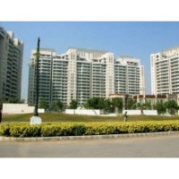 Apartments for lease in DLF Aralias