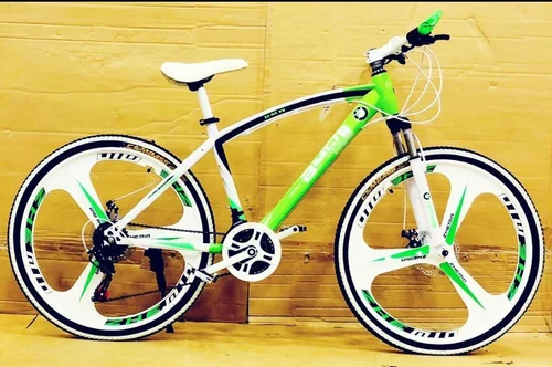 Bmw Sleek 21 Gears Mtb Bicycle