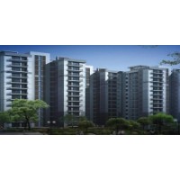 Get 2BHK   3BHK Flats on Rent in Lucknow