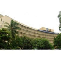 Lic policy