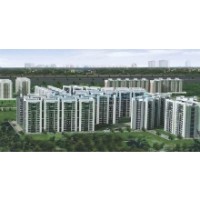 Tulip Violet Apartments for Sale in Gurgaon